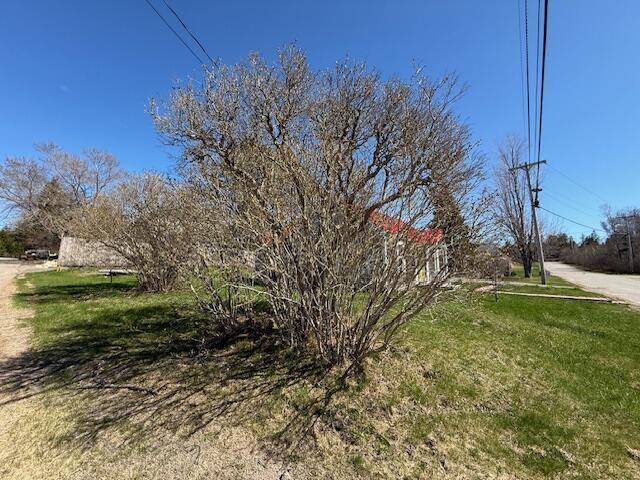 7 Johnson St, Eastport, ME 04631 - view of yard