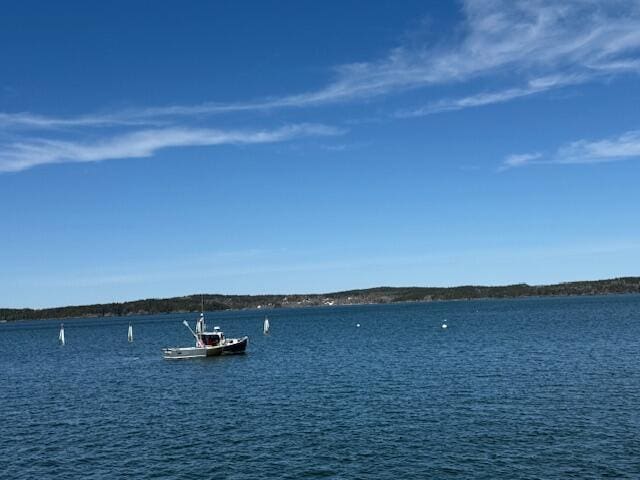 7 Johnson St, Eastport, ME 04631 - view of water feature featuring a dock