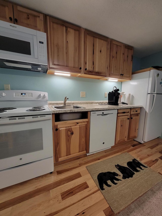 kitchen featuring light wood finished floors, a sink, brown cabinetry, white appliances, and light countertops