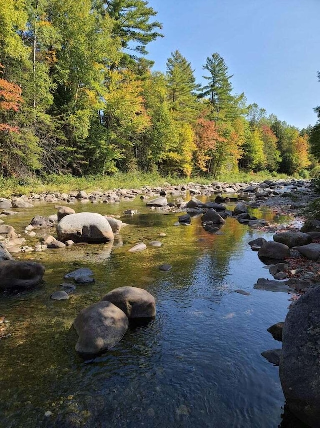 water view with a view of trees