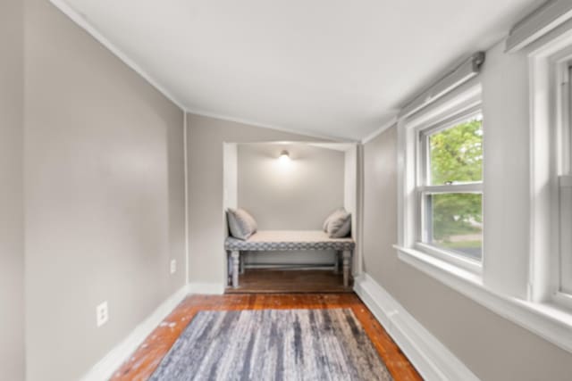 8 Organug Rd, York, ME 03909 - living area with vaulted ceiling, wood finished floors, and baseboards