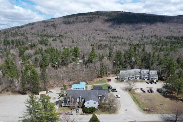 1116 Valley Xing Unit 1116, Carrabassett Valley, ME 04947 - photo 37