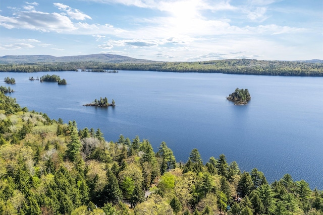 129 Diller Line Rd, Chesterville, ME 04938 - water view with a mountainous background and a heavily wooded area