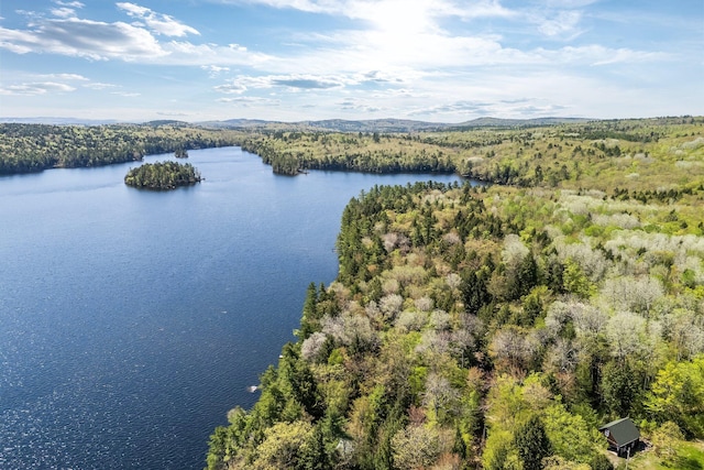 129 Diller Line Rd, Chesterville, ME 04938 - drone / aerial view of a forest and a large body of water