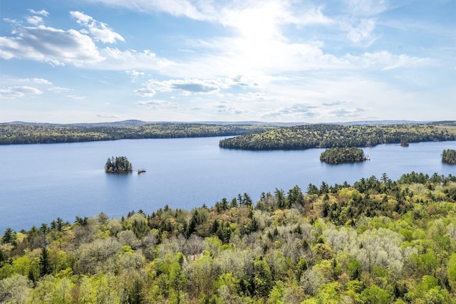 129 Diller Line Rd, Chesterville, ME 04938 - water view with a forest