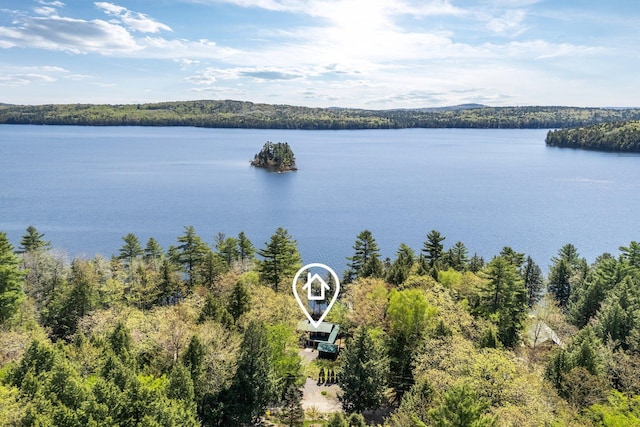 129 Diller Line Rd, Chesterville, ME 04938 - water view with a heavily wooded area