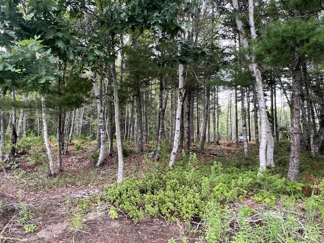 LotB Route 179, Waltham, ME 04605