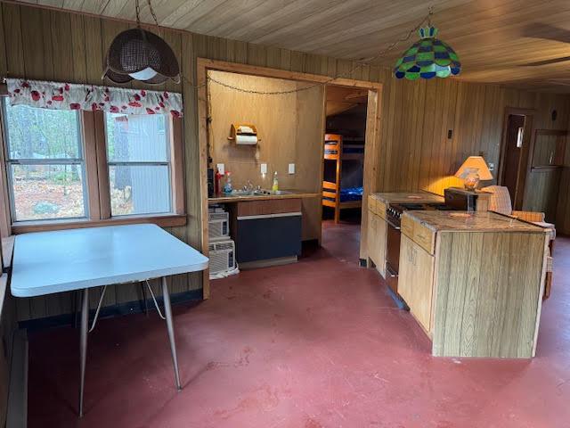 kitchen with wooden walls and black gas stove
