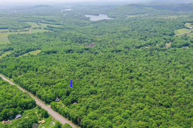 349 Veterans Hwy, Brooks, ME 04921 - aerial view of a forest