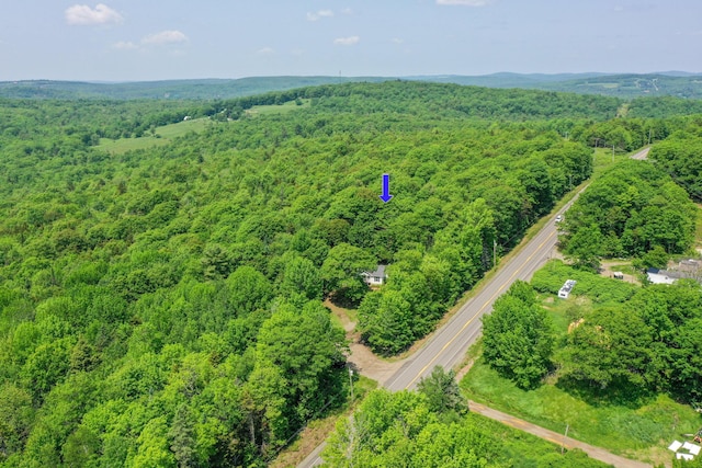 349 Veterans Hwy, Brooks, ME 04921 - bird's eye view of a forest
