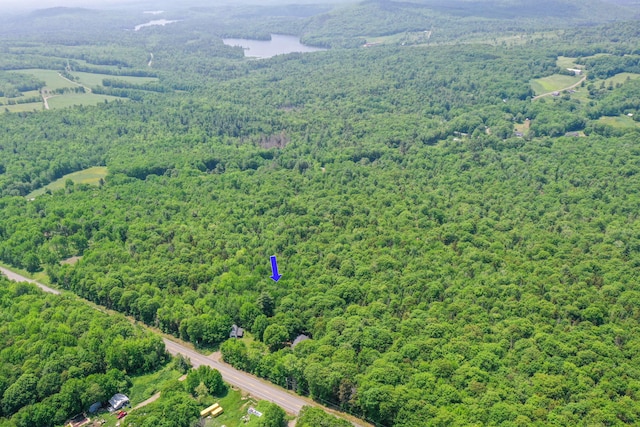 349 Veterans Hwy, Brooks, ME 04921 - aerial view of a heavily wooded area and a nearby body of water