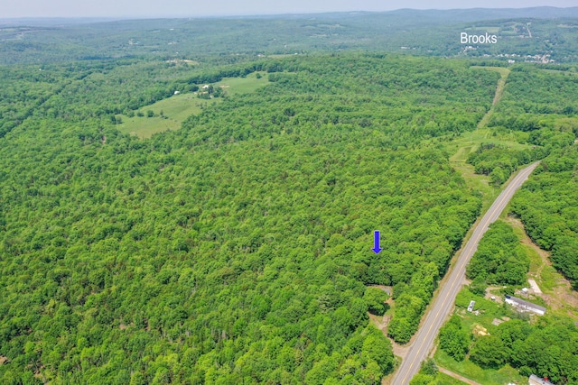 349 Veterans Hwy, Brooks, ME 04921 - bird's eye view of a forest