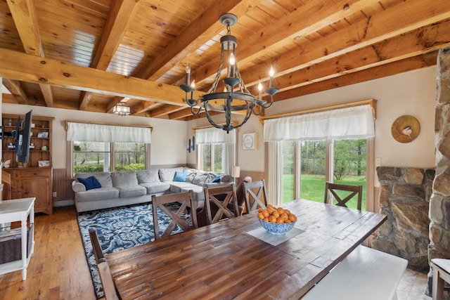 dining area with wainscoting, healthy amount of natural light, a chandelier, beamed ceiling, and light wood-style floors