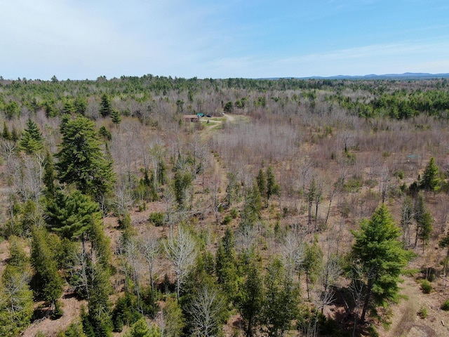 111 Fryes Ln, Greenbush, ME 04418 - bird's eye view of a heavily wooded area