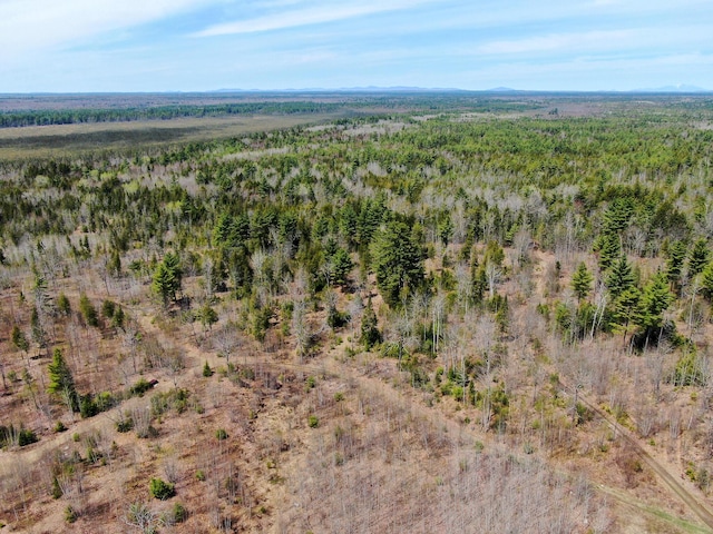111 Fryes Ln, Greenbush, ME 04418 - bird's eye view of a forest