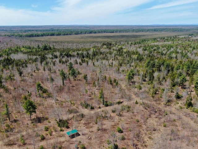 111 Fryes Ln, Greenbush, ME 04418 - aerial view of property's location with rural landscape