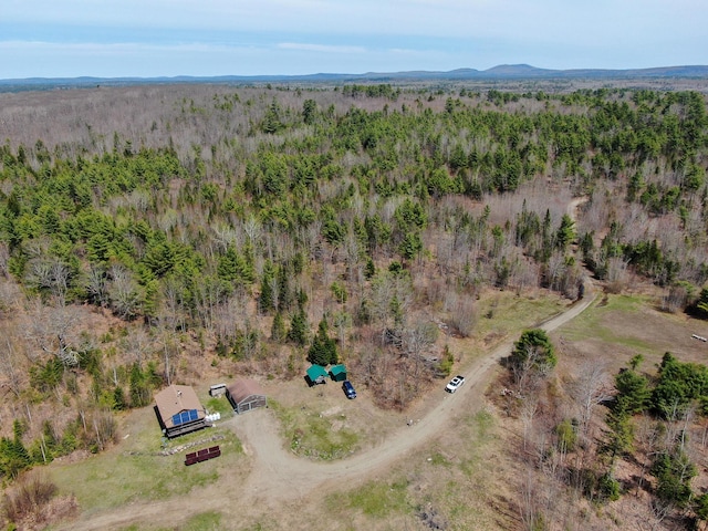 111 Fryes Ln, Greenbush, ME 04418 - view of property location featuring a forest