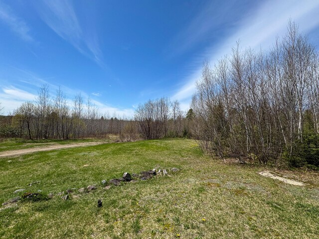 111 Fryes Ln, Greenbush, ME 04418 - view of green lawn