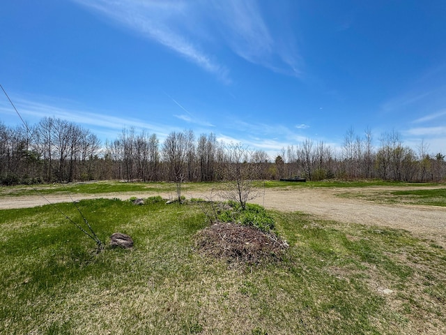 111 Fryes Ln, Greenbush, ME 04418 - view of yard