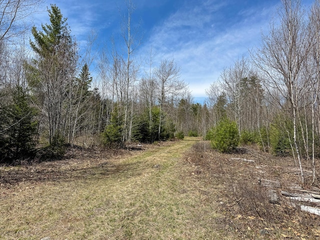 111 Fryes Ln, Greenbush, ME 04418 - view of tree filled area