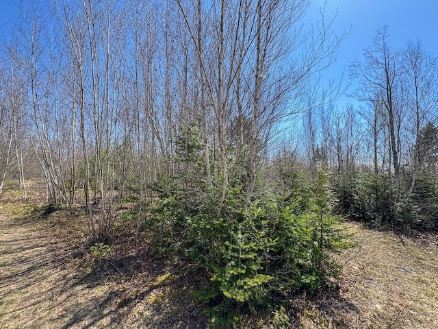 111 Fryes Ln, Greenbush, ME 04418 - view of local wilderness