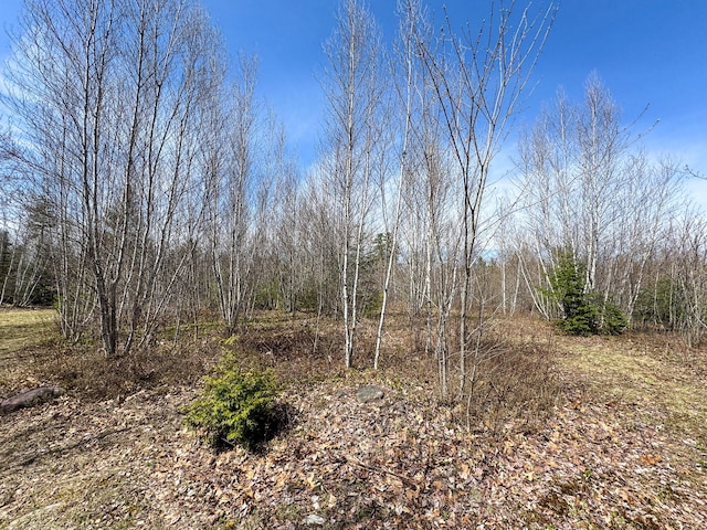 111 Fryes Ln, Greenbush, ME 04418 - view of local wilderness