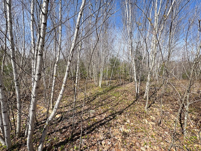 111 Fryes Ln, Greenbush, ME 04418 - view of local wilderness