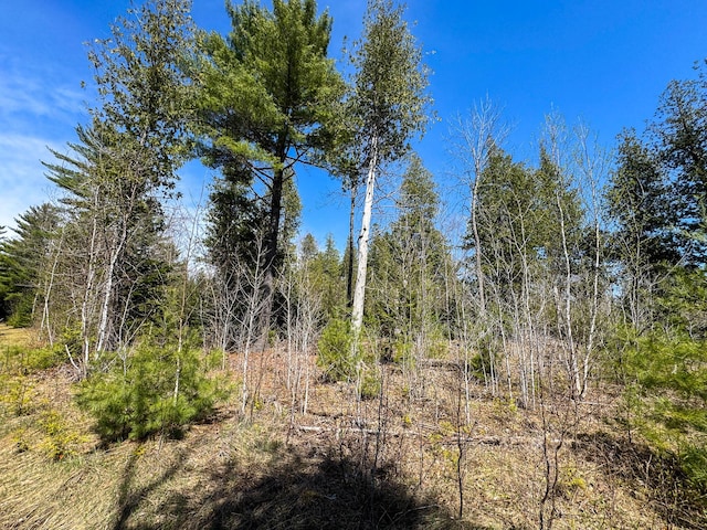 111 Fryes Ln, Greenbush, ME 04418 - view of nature