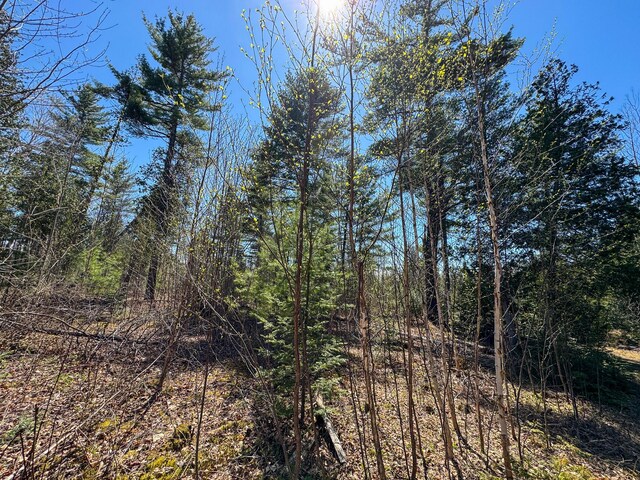111 Fryes Ln, Greenbush, ME 04418 - view of undeveloped land