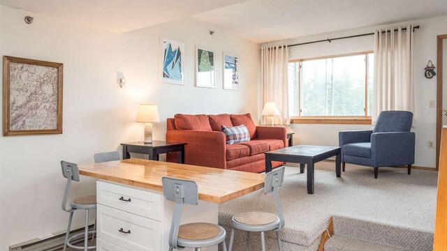 8 Sunrise Dr Unit A115, Newry, ME 04261 - view of carpeted living area