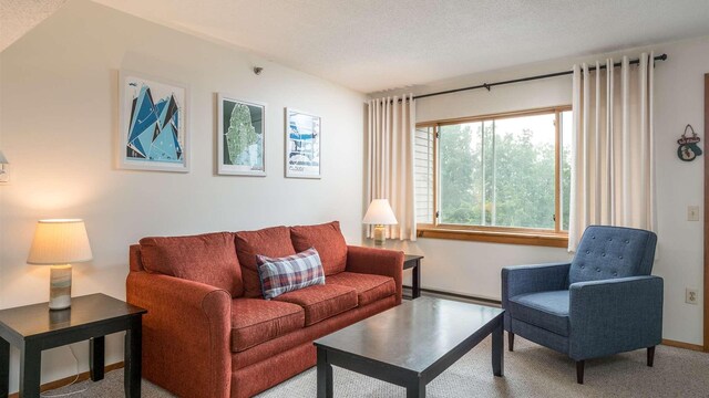 8 Sunrise Dr Unit A115, Newry, ME 04261 - carpeted living room featuring baseboards