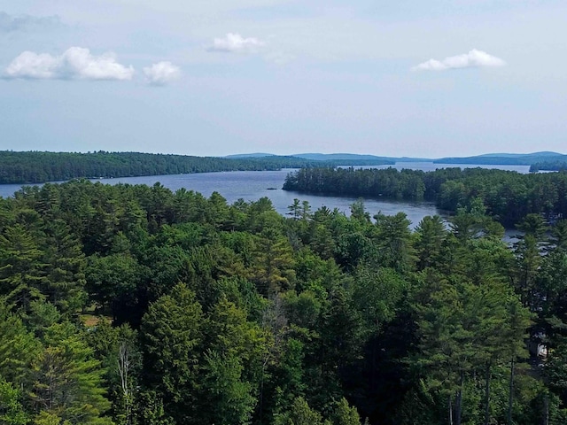 3 Milligan Cir, Oxford, ME 04270 - photo 55