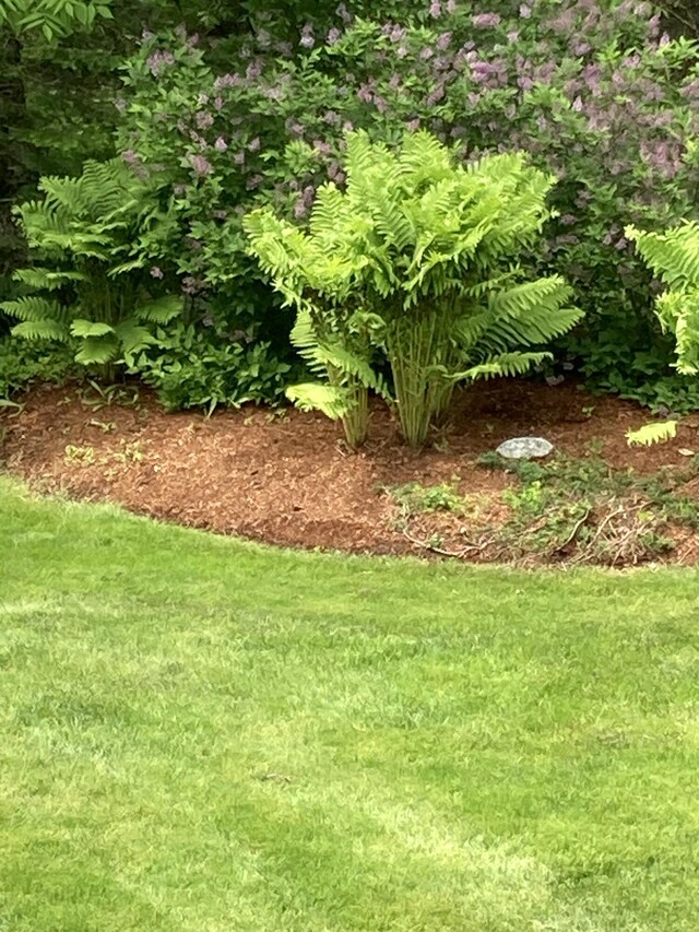 74 Town Farm Rd, Hampden, ME 04444 - view of grassy yard