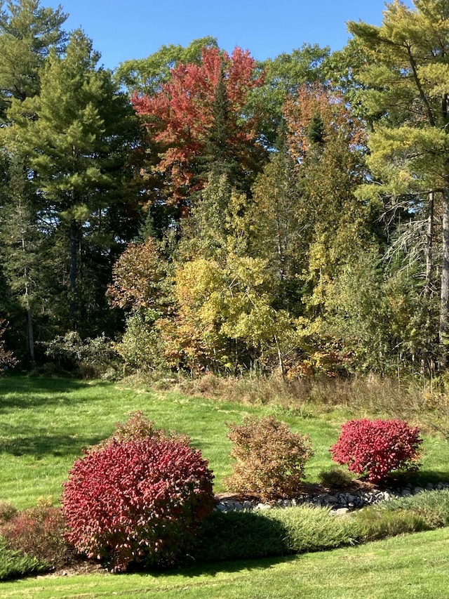 74 Town Farm Rd, Hampden, ME 04444 - view of green lawn