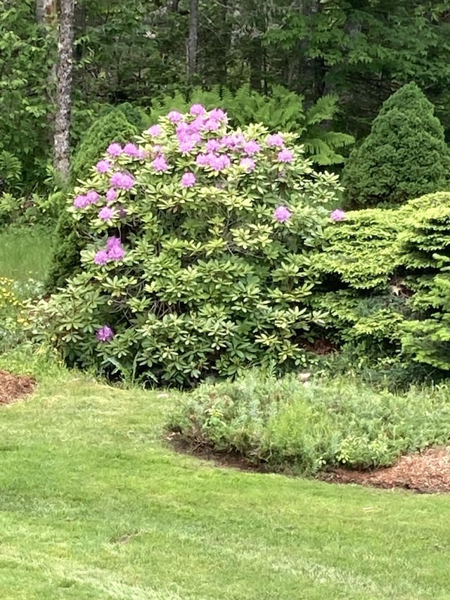 74 Town Farm Rd, Hampden, ME 04444 - view of green lawn