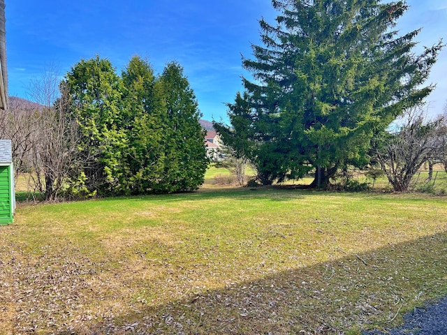 99 St John Rd, Fort Kent, ME 04743 - view of yard