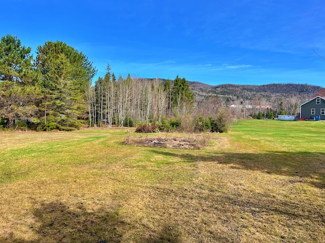 99 St John Rd, Fort Kent, ME 04743 - view of yard