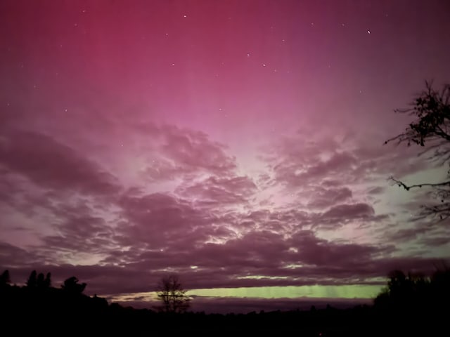 168 Guzzle Rd, Gouldsboro, ME 04607 - view of local wilderness