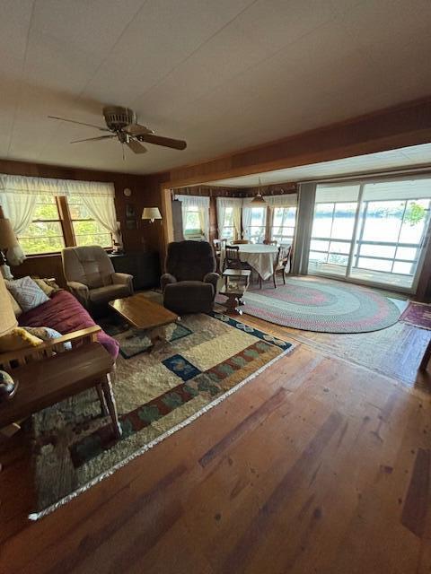 living area with a wealth of natural light, hardwood / wood-style floors, and ceiling fan