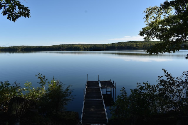 dock area featuring a water view and a view of trees
