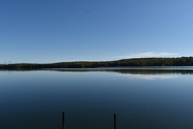 view of water feature featuring a forest view