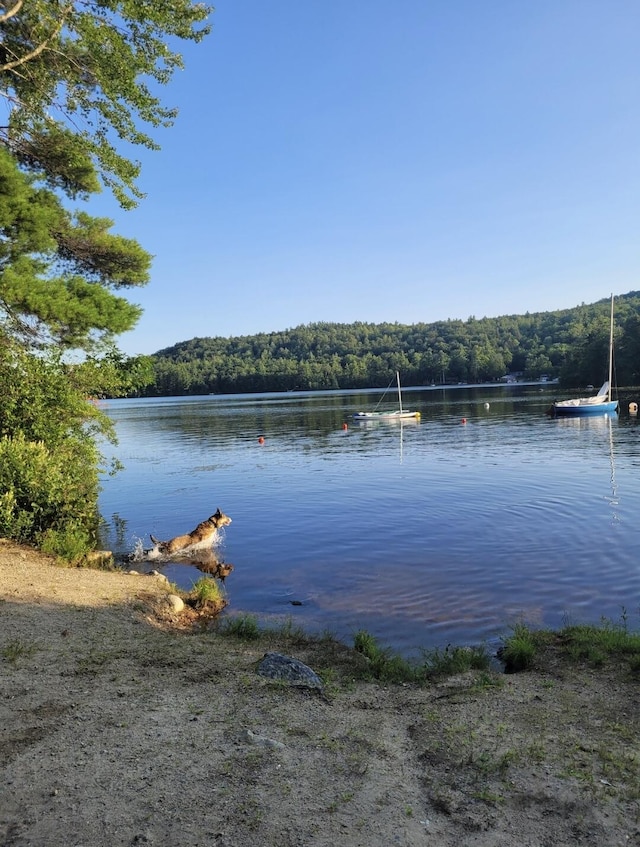 397 New Bridge Rd, Acton, ME 04001 - water view featuring a forest