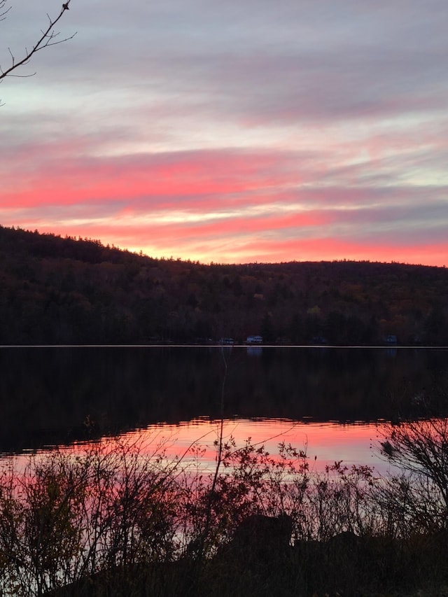 397 New Bridge Rd, Acton, ME 04001 - view of mountain background with a forest