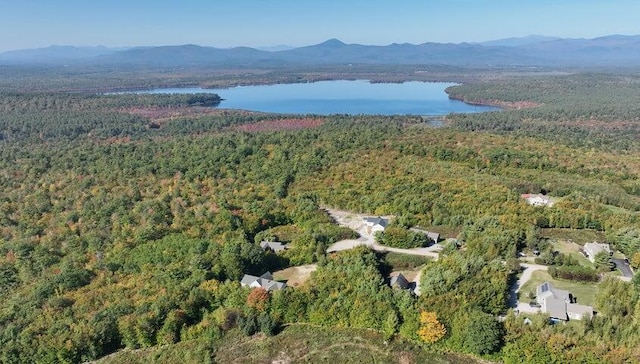 48 White Mountain Way, Bridgton, ME 04009 - aerial view of property and surrounding area with a forest and a water and mountain view