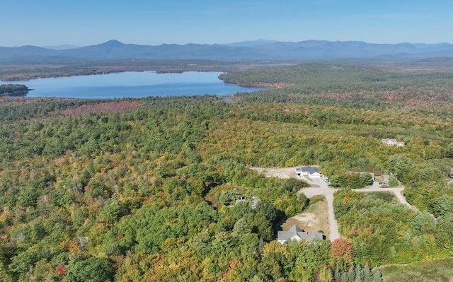 48 White Mountain Way, Bridgton, ME 04009 - aerial view of property's location featuring a heavily wooded area and a water and mountain view