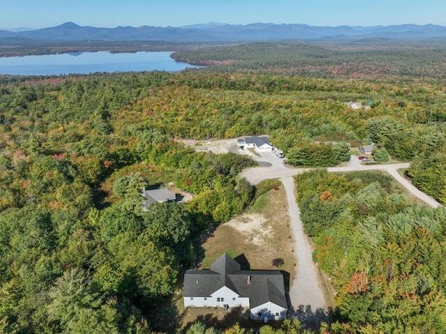48 White Mountain Way, Bridgton, ME 04009 - aerial overview of property's location featuring a forest and a water and mountain view