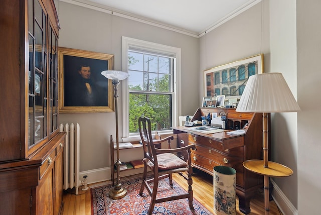 94 Neal St Unit 2N, Portland, ME 04102 - office featuring wood finished floors, radiator heating unit, and crown molding