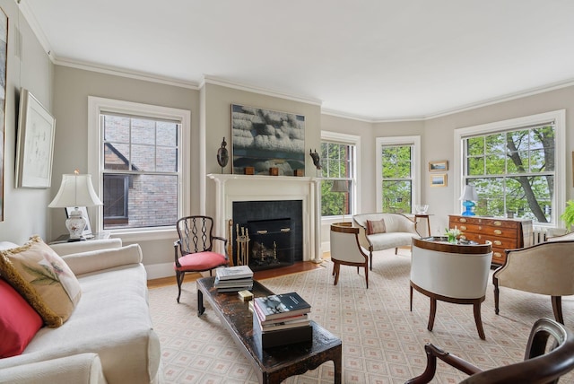 94 Neal St Unit 2N, Portland, ME 04102 - living area featuring ornamental molding, a fireplace with flush hearth, and light wood-style floors