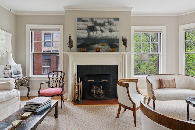 94 Neal St Unit 2N, Portland, ME 04102 - living room with a fireplace with flush hearth and ornamental molding