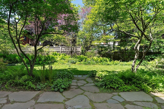 94 Neal St Unit 2N, Portland, ME 04102 - view of yard